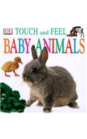 Baby Animals