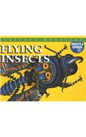 Flying Insects