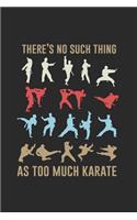 There's No Such Thing As Too Much Karate: Karate Notebook, Dotted Bullet (6 x 9 - 120 pages) Martial Arts Themed Notebook for Daily Journal, Diary, and Gift