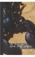 black death scorpion
