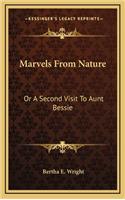 Marvels from Nature