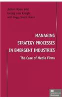 Managing Strategy Processes in Emergent Industries