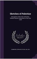 Sketches of Palestine: Descriptive of the Visit of the Rev. Edward Payson Hammond, to the Holy Land(English)