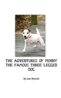 Adventures of Penny the Famous Three Legged Dog