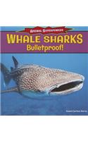 Whale Sharks: Bullet-Proof!: Bulletproof!