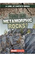 What Are Metamorphic Rocks?: (Look at Earth's Rocks)
