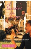 A Snapshot in Time: A Day in the Life of a Home Help(English)