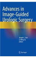 Advances in Image-Guided Urologic Surgery