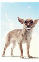 Funny Dog August Notebook & Journal. Productivity Work Planner & Idea Notepad: Brainstorm Thoughts, Self Discovery, To Do List