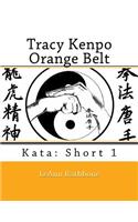 Tracy's Kenpo Orange Belt Kata