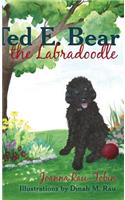 Ted E. Bear the Labradoodle