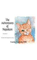 The Adventures of Napoleon, Volume 2