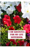 I am Grateful for My Life