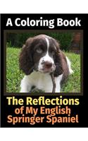 The Reflections of My English Springer Spaniel: A Coloring Book