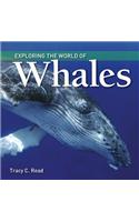Exploring the World of Whales