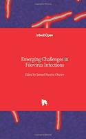 Emerging Challenges in Filovirus Infections