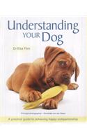 Understanding Your Dog