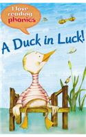 PHONICS LEVEL 1 A DUCK IN LUCK US