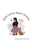 Baby Learns About Animals