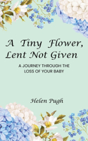 Tiny Flower, Lent Not Given