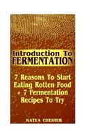 Introduction To Fermentation: 7 Reasons To Start Eating Rotten Food + 7 Fermentation Recipes To Try