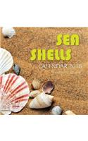 Sea Shells Calendar 2018