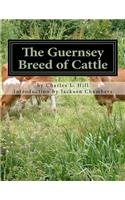 Guernsey Breed of Cattle