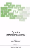 Dynamics of Membrane Assembly