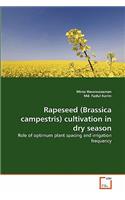 Rapeseed (Brassica campestris) cultivation in dry season