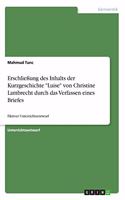 Erschließung des Inhalts der Kurzgeschichte "Luise" von Christine Lambrecht durch das Verfassen eines Briefes: Fiktiver Unterrichtsentwurf