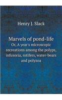 Marvels of pond-life Or, A year's microscopic recreations among the polyps, infusoria, rotifers, water-bears and polyzoa