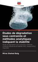 Études de dégradation sous contrainte et méthodes analytiques indiquant la stabilité