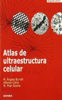 Atlas de ultraestructura celular