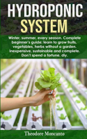 Hydroponic System