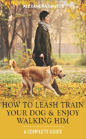 How to Leash Train Your Dog and Enjoy Walking Him