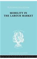 Mobility in the Labour Market