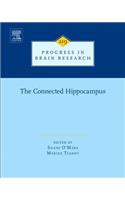 Connected Hippocampus