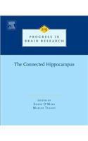 The Connected Hippocampus