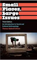 Small Places, Large Issues: An Introduction to Social and Cultural Anthropology