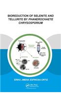 Bioreduction of Selenite and Tellurite by Phanerochaete Chrysosporium