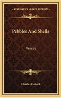 Pebbles and Shells
