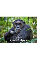 Ugandan Great Apes 2018