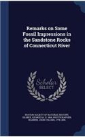 Remarks on Some Fossil Impressions in the Sandstone Rocks of Connecticut River