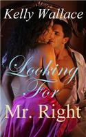 Looking for Mr. Right (Romantic Comedy - Interracial Romance): (English)