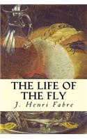 The Life of the Fly
