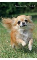 Chihuahua May Notebook Chihuahua Record, Log, Diary, Special Memories, To Do List, Academic Notepad, Scrapbook & More