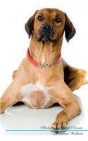 Rhodesian Ridgeback Affirmations Workbook Rhodesian Ridgeback Presents: Positive and Loving Affirmations Workbook. Includes: Mentoring Questions, Guidance, Supporting You.