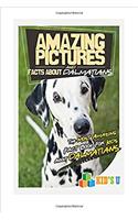 Amazing Pictures and Facts About Dalmatians: The Most Amazing Fact Book for Kids About Dalmatians (Kids U)