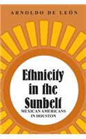 Ethnicity in the Sunbelt, 4