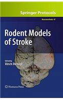 Rodent Models of Stroke